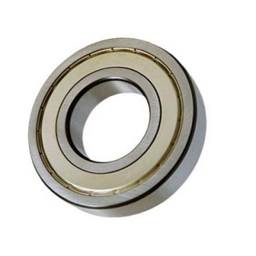 Deep Groove Ball Bearing Shield/Rubber Seal Good Quality Good Price 6204 6204RS 6204zz