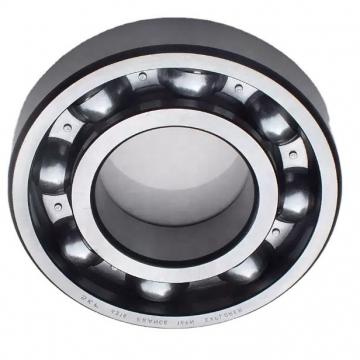 China Spherical Roller Bearing 22213 Ccw33 with Steel Cage