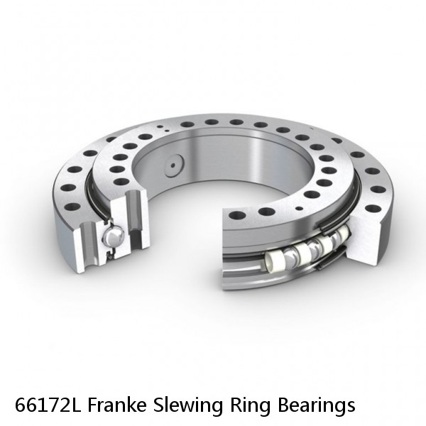 66172L Franke Slewing Ring Bearings