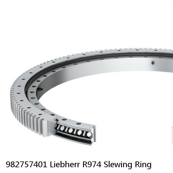 982757401 Liebherr R974 Slewing Ring