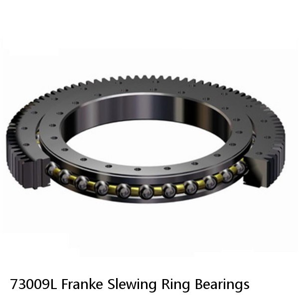 73009L Franke Slewing Ring Bearings