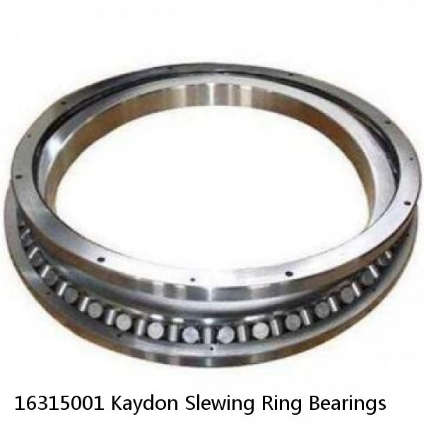 16315001 Kaydon Slewing Ring Bearings