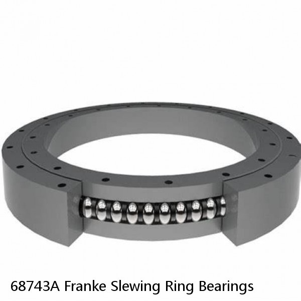 68743A Franke Slewing Ring Bearings