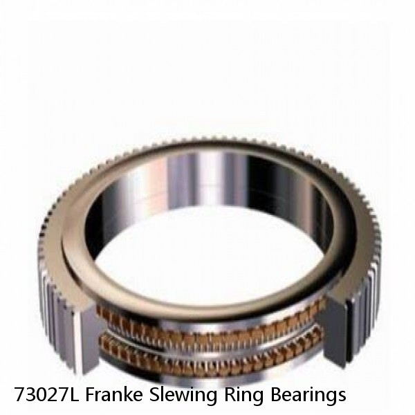 73027L Franke Slewing Ring Bearings