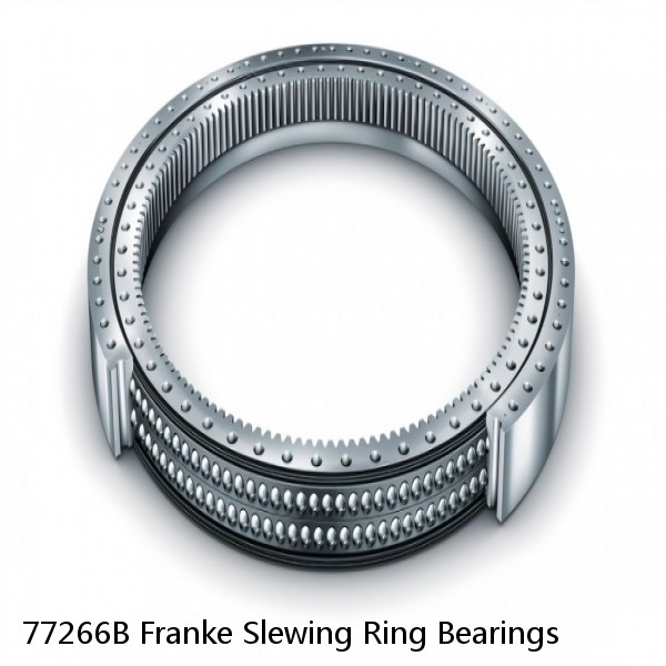 77266B Franke Slewing Ring Bearings