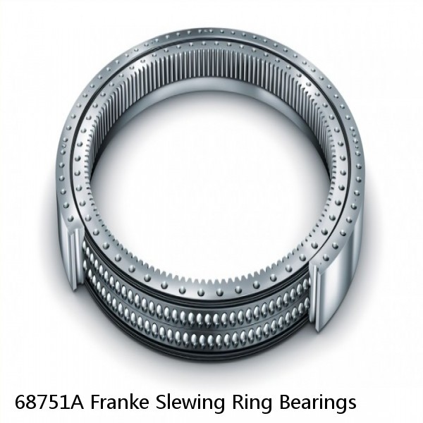 68751A Franke Slewing Ring Bearings