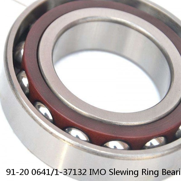 91-20 0641/1-37132 IMO Slewing Ring Bearings