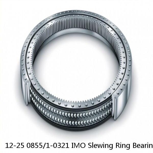 12-25 0855/1-0321 IMO Slewing Ring Bearings