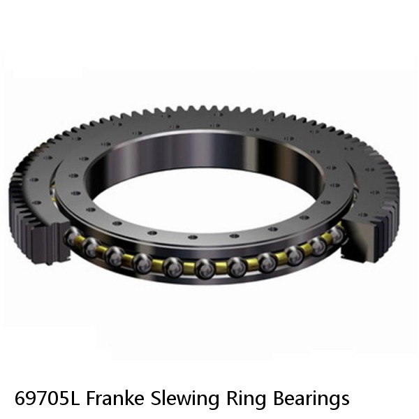 69705L Franke Slewing Ring Bearings