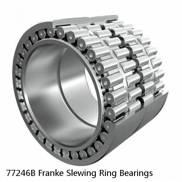 77246B Franke Slewing Ring Bearings