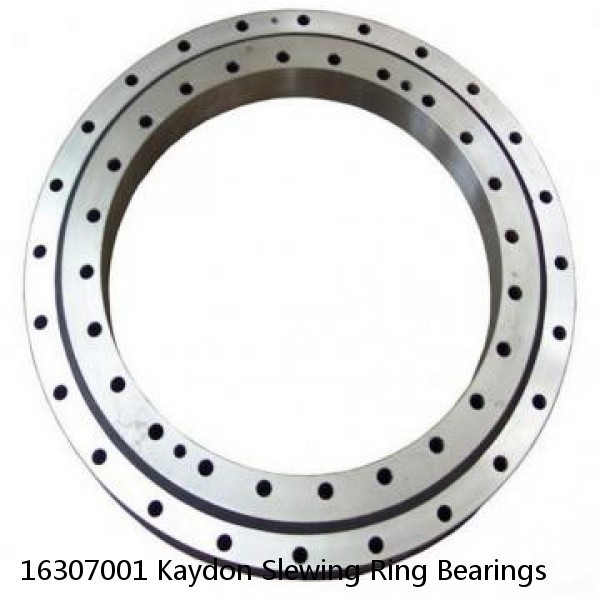 16307001 Kaydon Slewing Ring Bearings