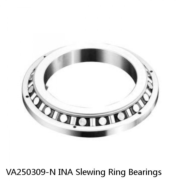 VA250309-N INA Slewing Ring Bearings