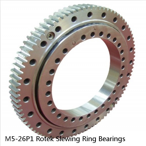 M5-26P1 Rotek Slewing Ring Bearings