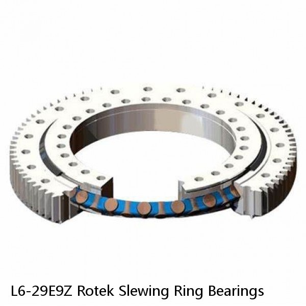 L6-29E9Z Rotek Slewing Ring Bearings