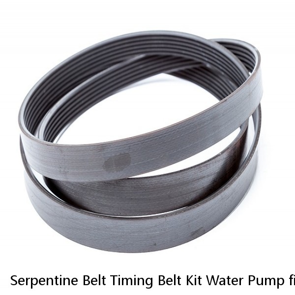 Serpentine Belt Timing Belt Kit Water Pump fit 03-09 Acura TL Honda Odyssey 3.5L